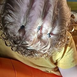 Stuffed Miyoni Cat From Aurora