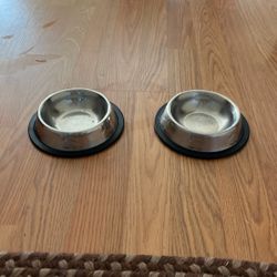 2 Cat feeding Dishes