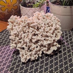 Coral