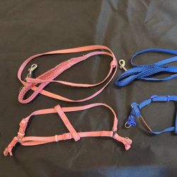 Dog Harness (small)