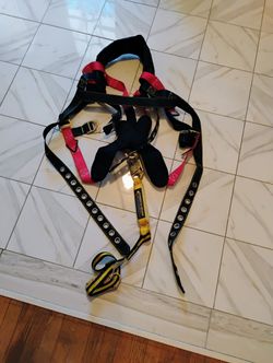 Full Body Harness