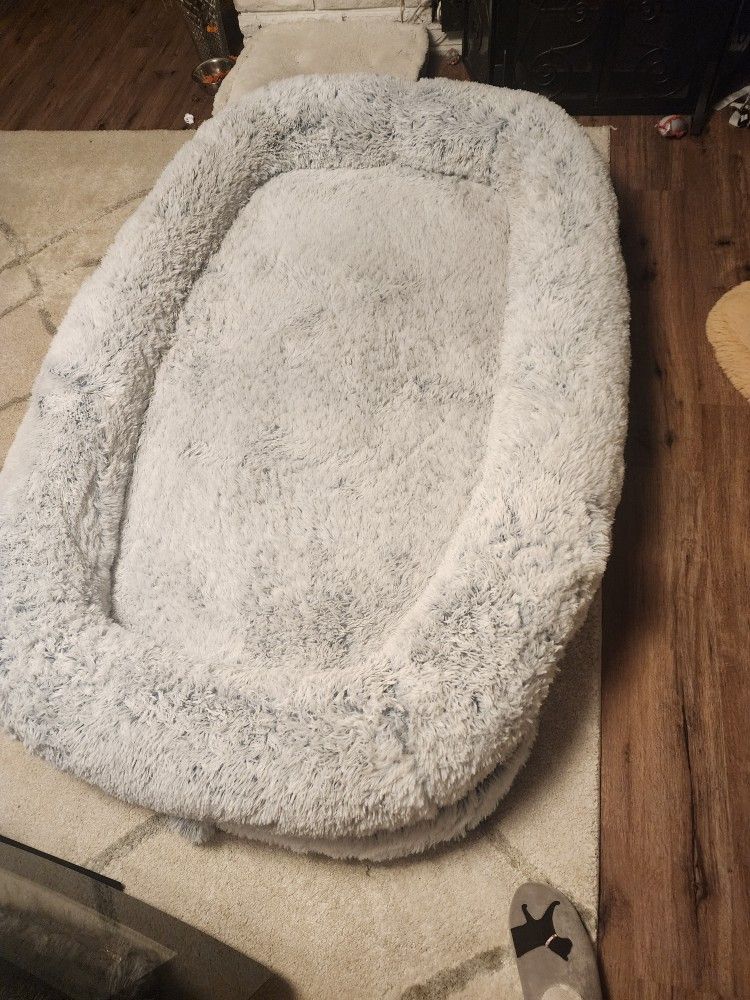 Human Dog Bed