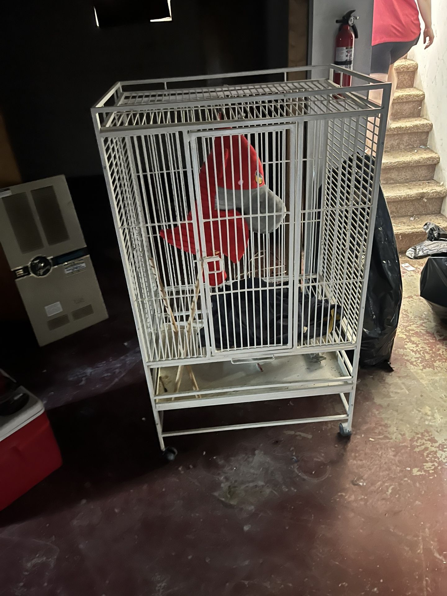 Giant Bird Cage