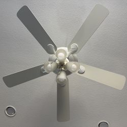 Ceiling Fan White