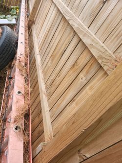 40 ft ladder