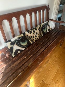 Leopard eyes Art