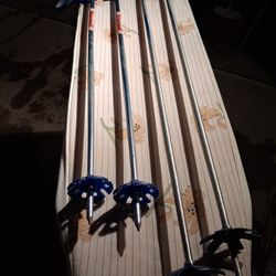 Walking Stick's/Sky's 4 Available Must Go!!