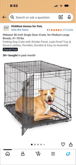 Dog cage or cat