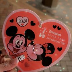 Disneyland Sweet heart Night 