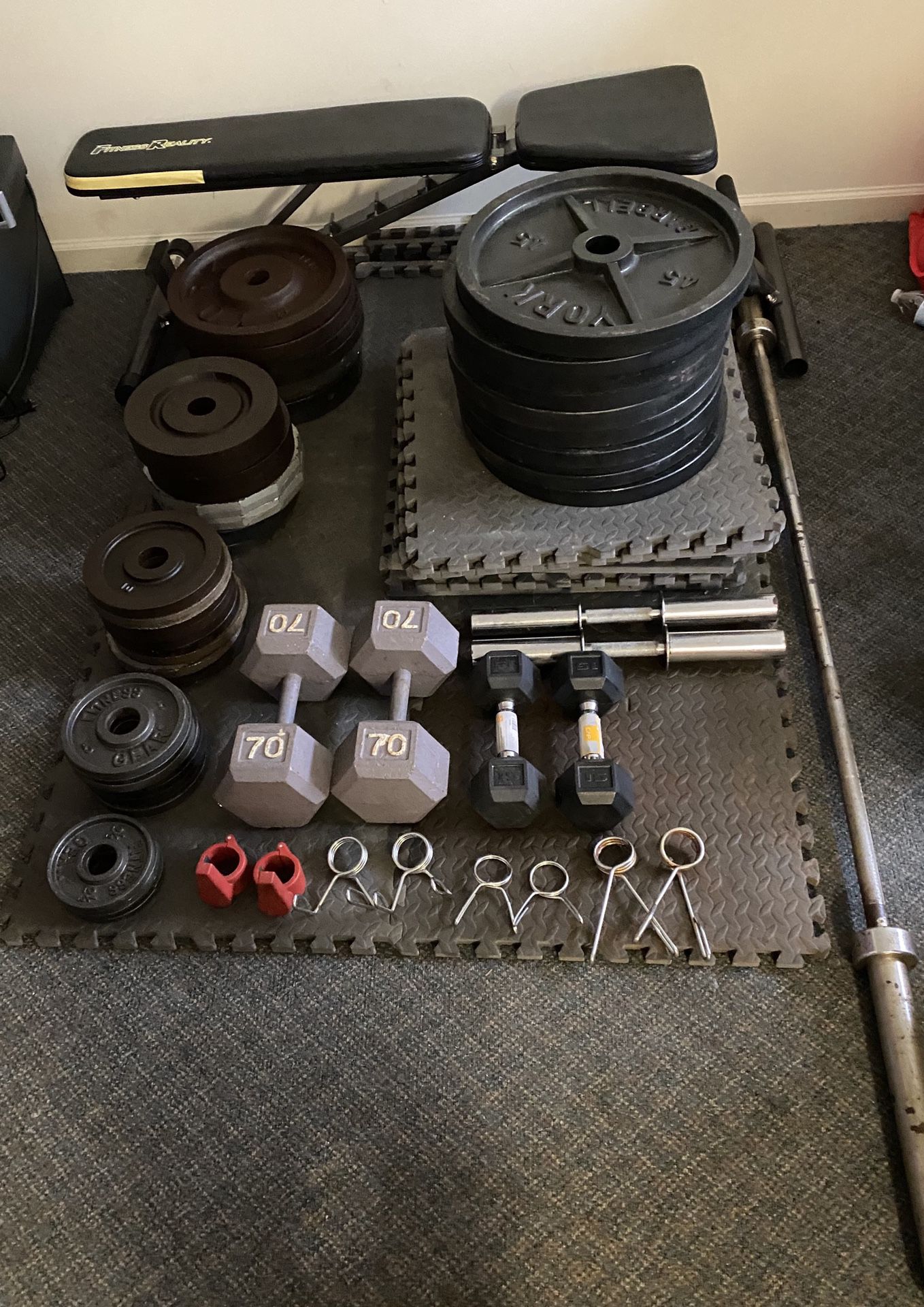 READ DESCRIPTION Gym Equipment Sale (Olympic Weights/Barbell, Dumbbells, More)