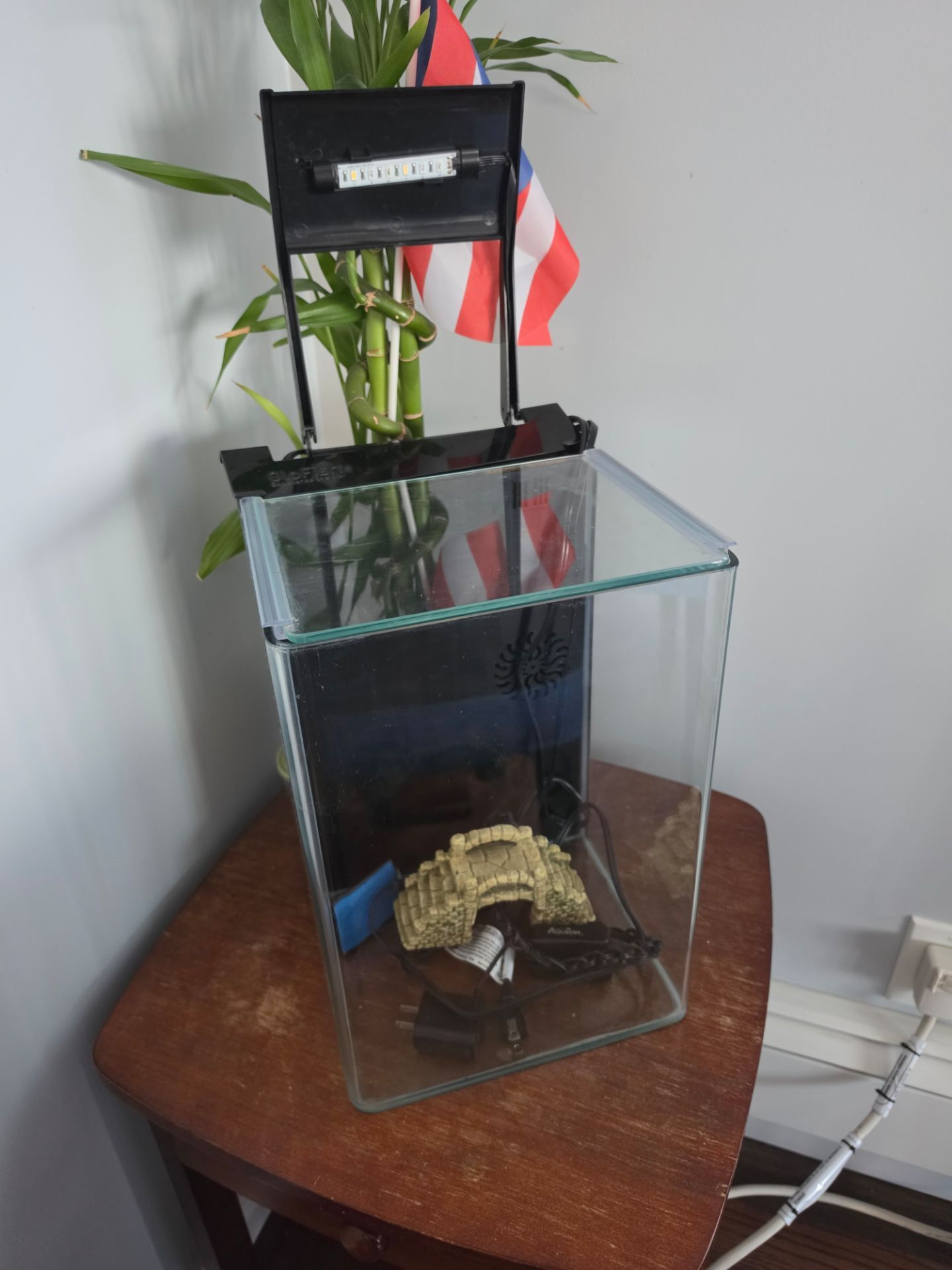 5 gal Fish tank