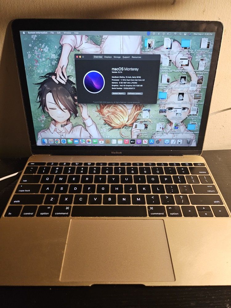 Macbook 12" RETINA