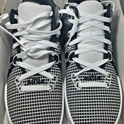 Nike LeBron Witness VII 7 White Metallic Silver Black DM1123-100 Men's Size 10.5 NEW