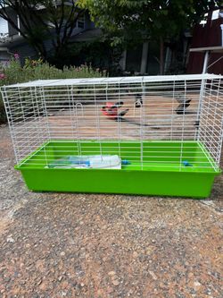 Rabbit cage