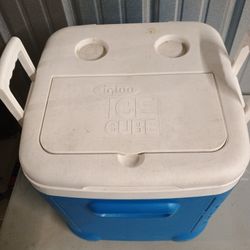 Igloo Ice Cube Cooler