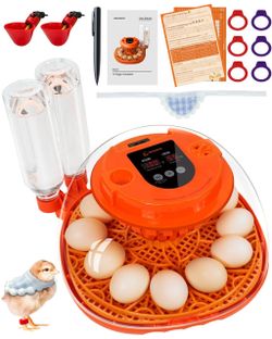 Homcolorful 12 Eggs Incubator