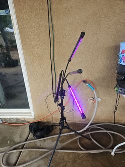 Light for indoor plants