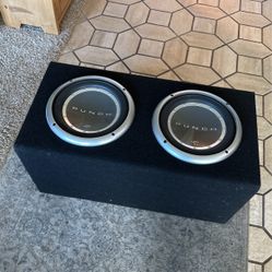Punch Subwoofers Dual 10” Speakers And Box
