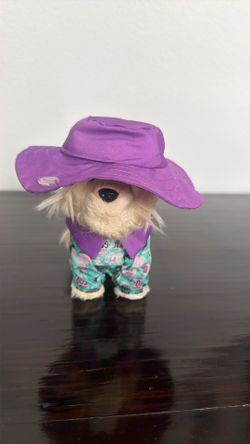 American Girl Pet Rain Coat & Hat