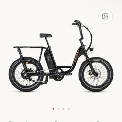 RadRunner 2 Electric Utility bike sale (price 600 firm retail 1400)