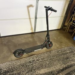 Electric Scooter