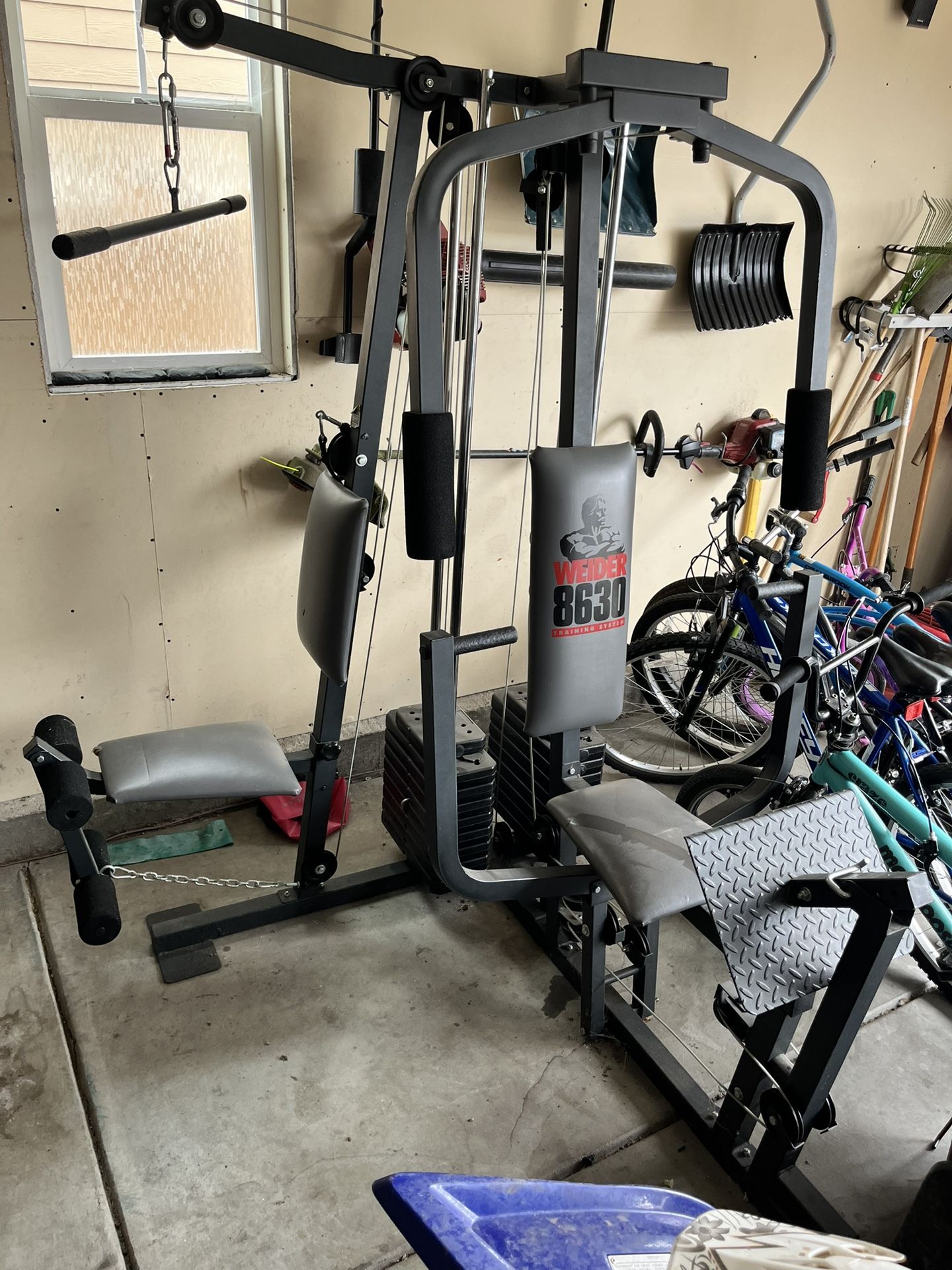 Weider 8630 Training System