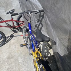 Vertical MTN Tamer mountain bike 20"