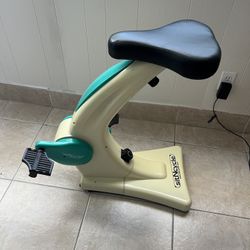 SitNCycle Sit N Cycle Exercise Bike