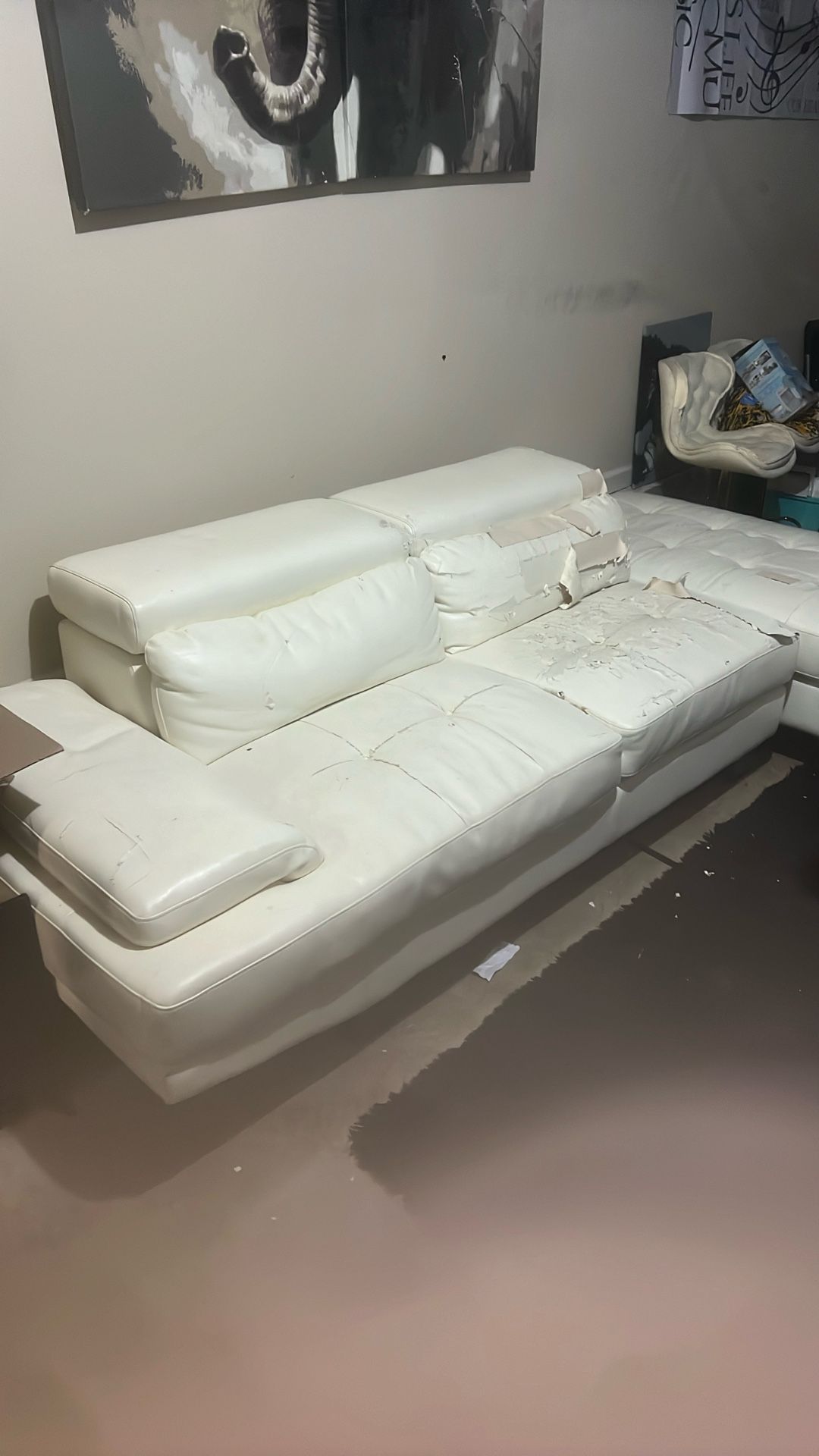 Free Couch Set