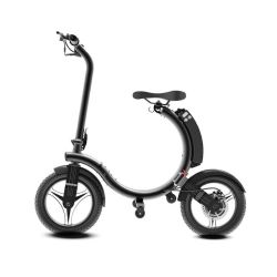 Folding Electric Bike