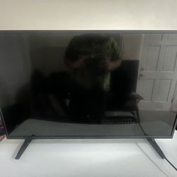 2018 Insignia LCD 4K Fire Tv (43 In)