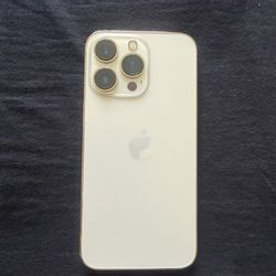 iPhone 13Pro