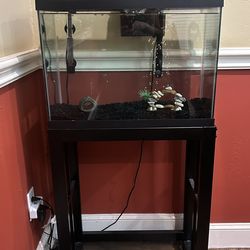 Top Fin  Aquarium Starter Kit With Stand