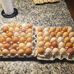 Organic eggs