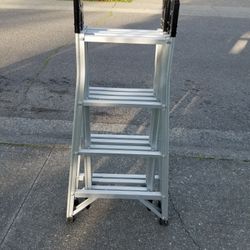 Ladder 16ft 