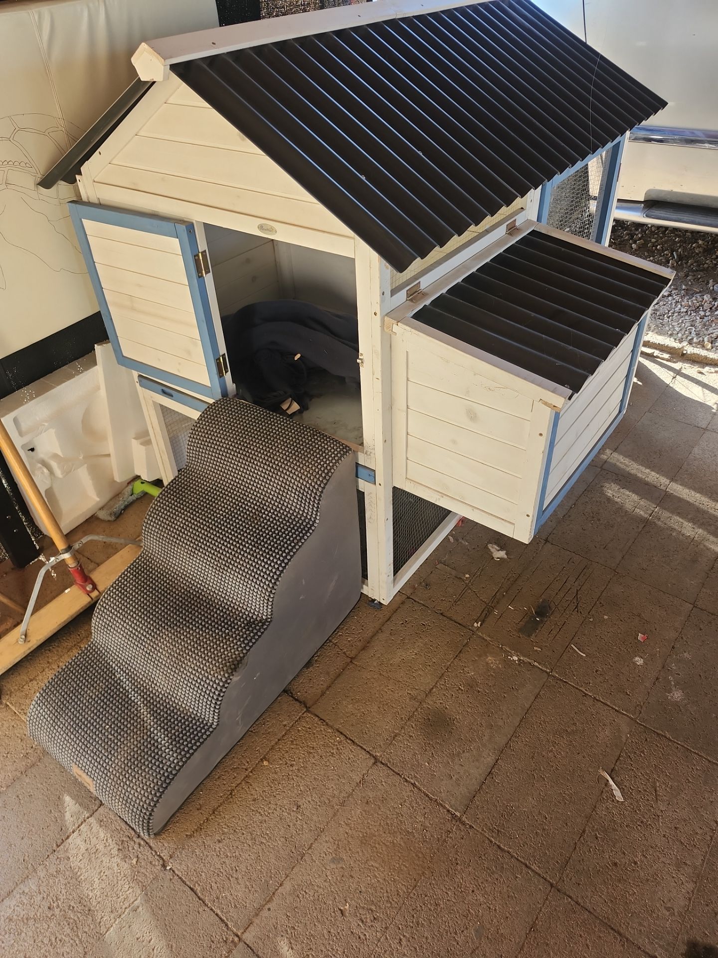 Dog Chcken Kitty House
