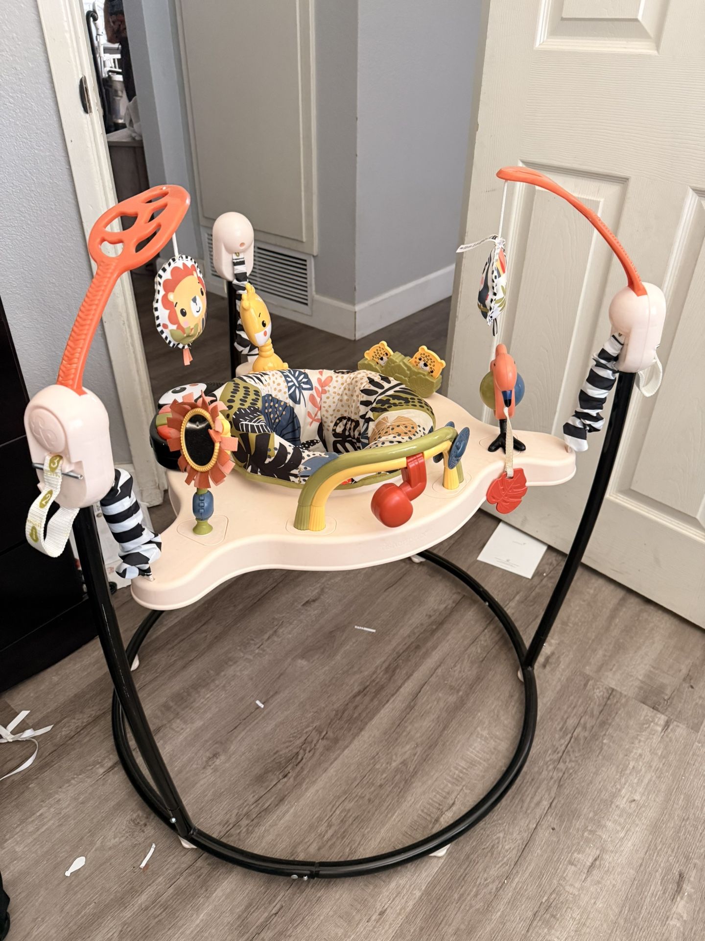 Fisher Price Baby Bouncer / Jumparoo