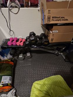 Workout Bench