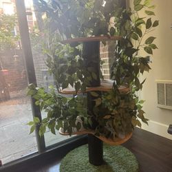 Cat Tree
