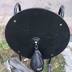Training Speed Bag