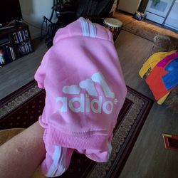 Dog Outfit