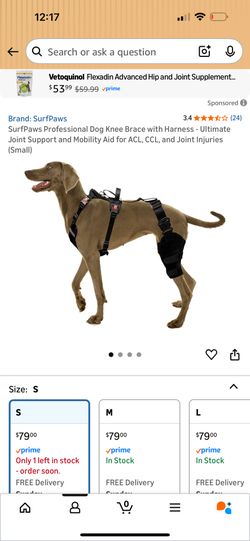 Professional Dog Knee Brace With Harness