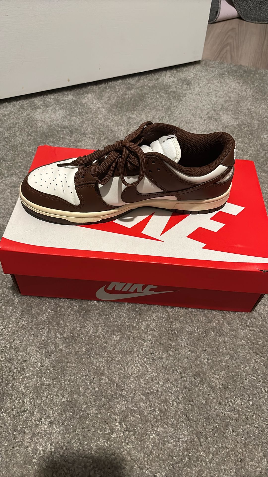 Size 8 Dunks