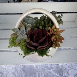 Easter Basket Succulent Arrangement