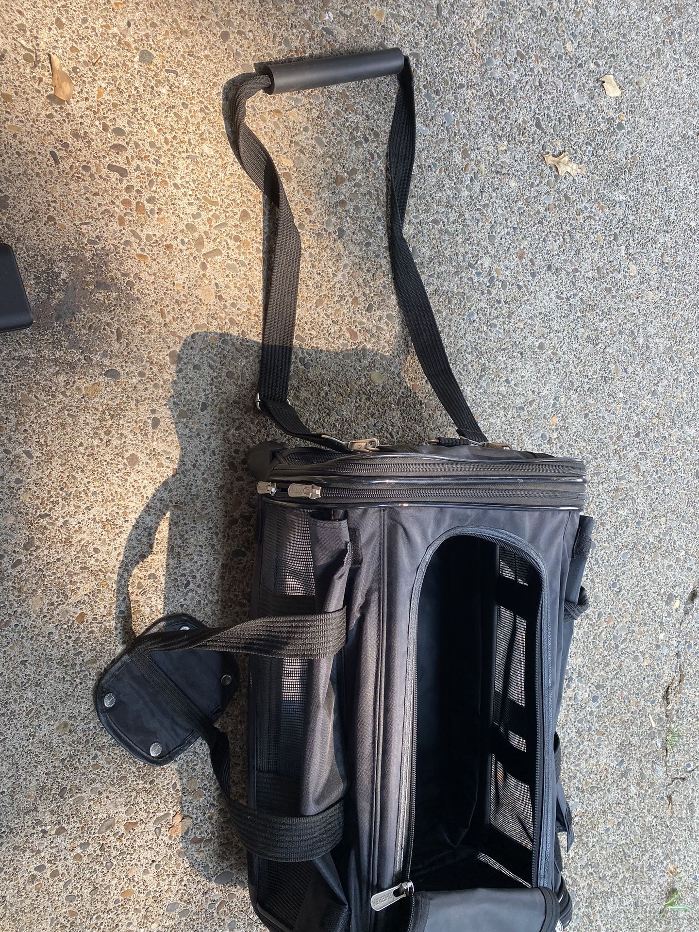 Airline Approved Dog Carrier for Sale in Brooks, OR OfferUp
