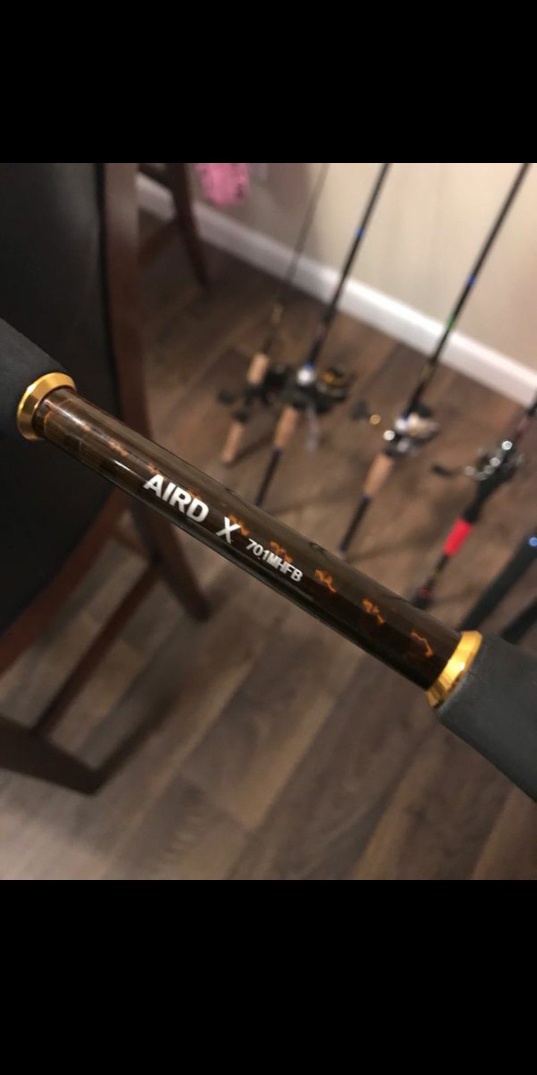 Daiwa Aird x casting rod