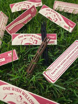 One Wish Willow