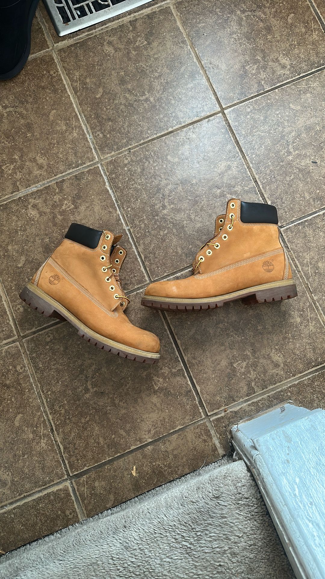 Timberland ( Brown )