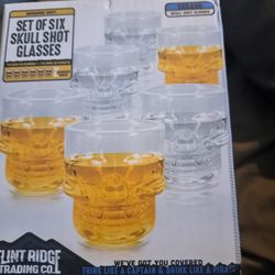 Flint Ridge Trading Company Skyll Shot Glasses