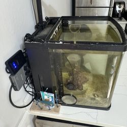 Biocube 32 Gallon AIO Aquarium